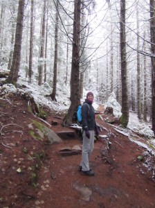 Bit further in than the start of the trail